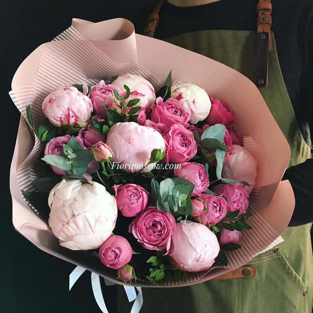 Пионы круглые