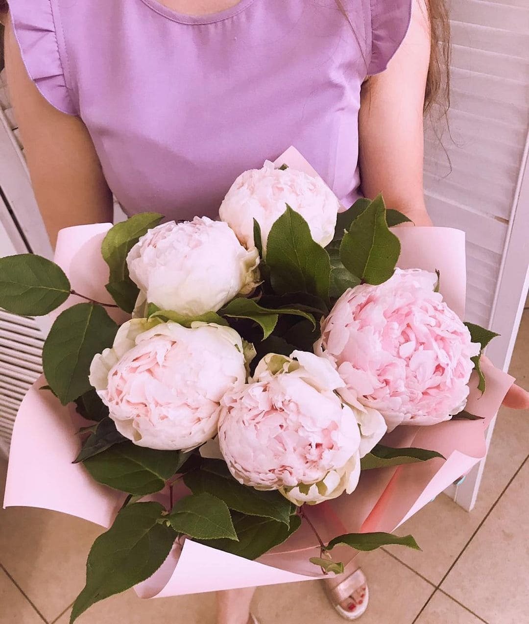 Пионы букет Эстетика