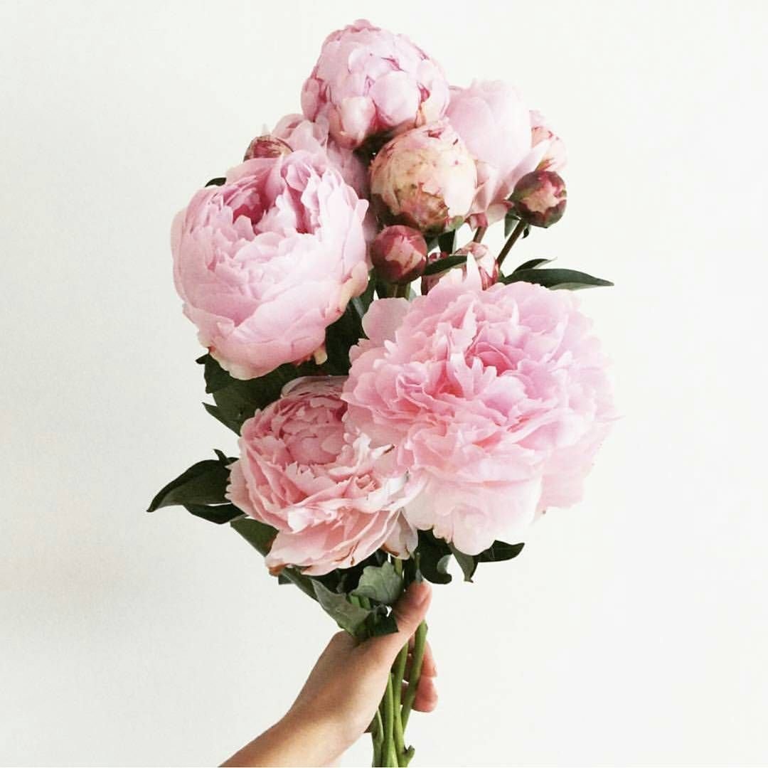 Букет из пионов и диантусов