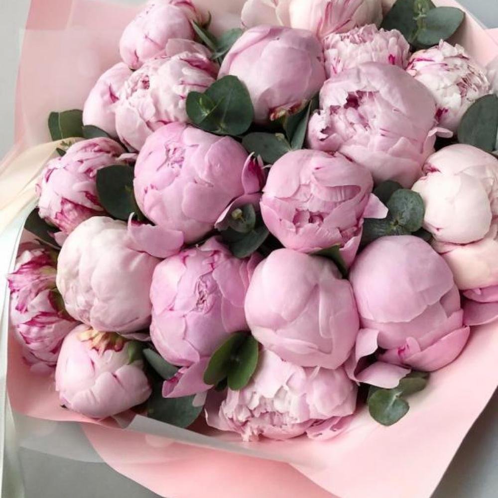 Пионы и жемчуг