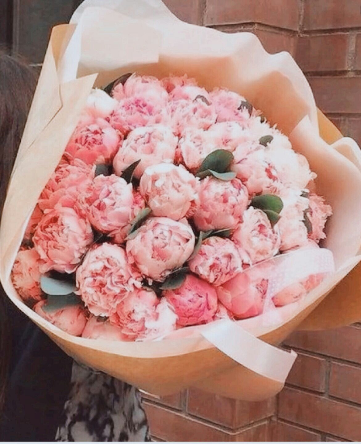 Пион букет Парфе