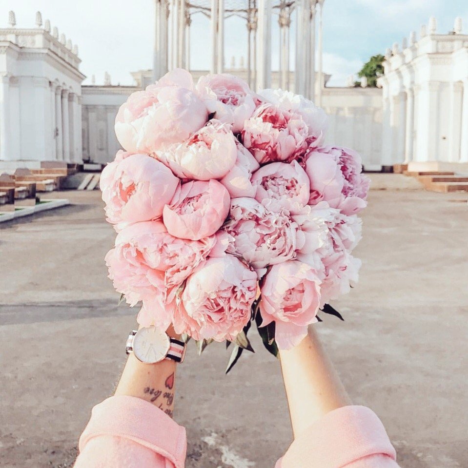 Монобукет - пионы