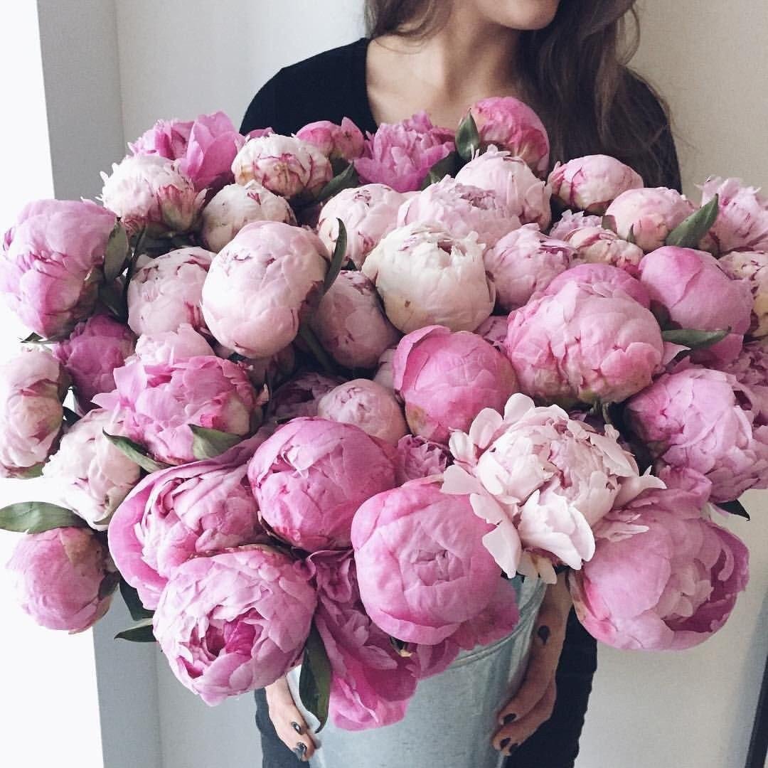 Шикарный букет пионов в руках