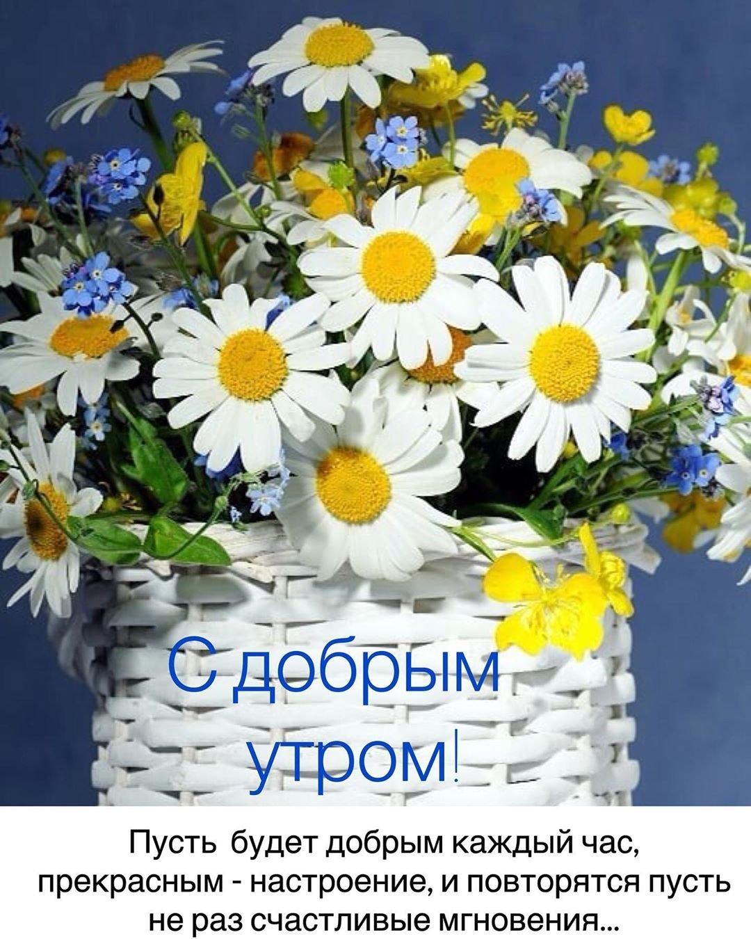 Удачной недели и хорошего настроения