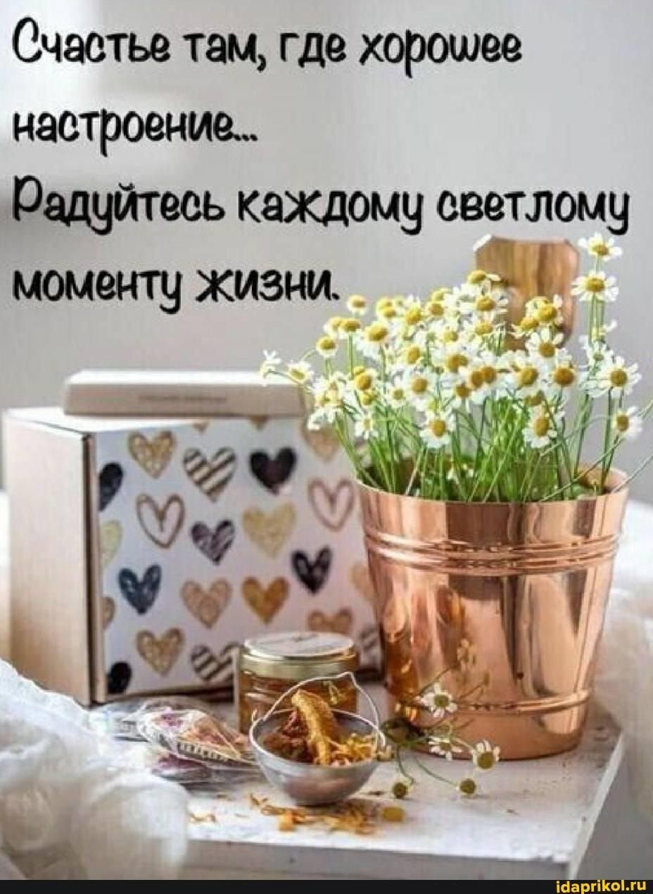 Доброе утро и отличного настроения