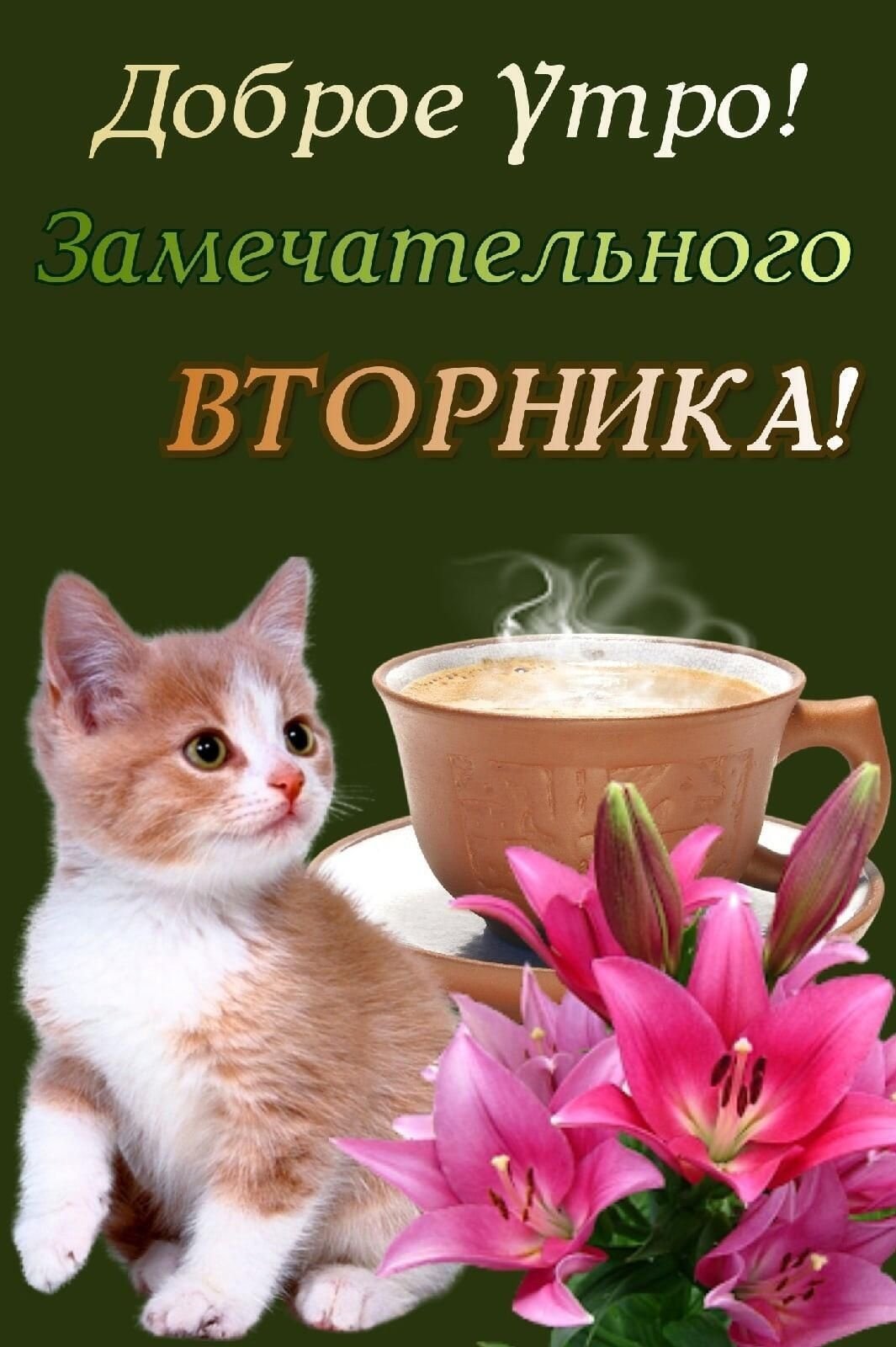 С добрым утром