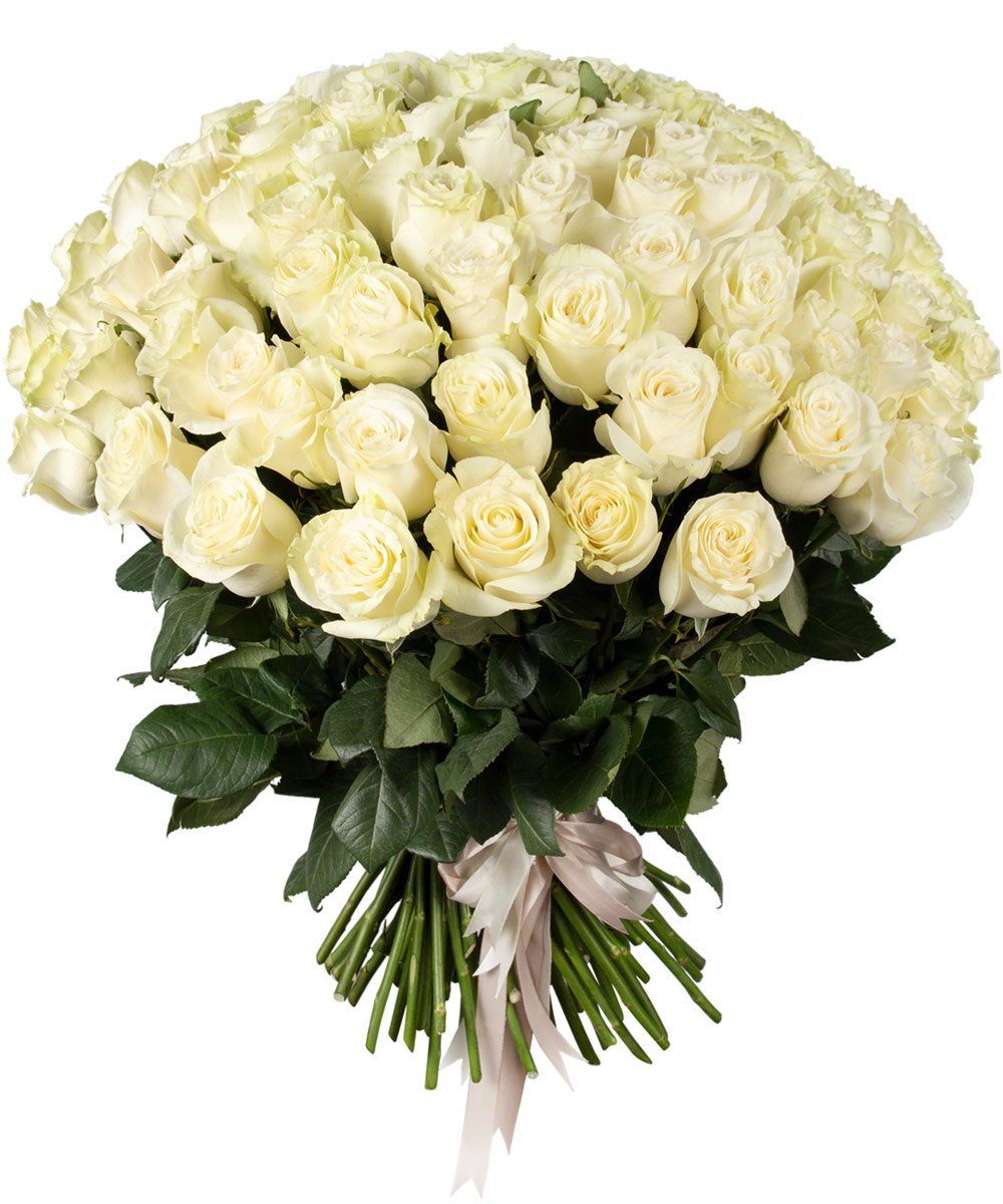 Букет белых роз букет