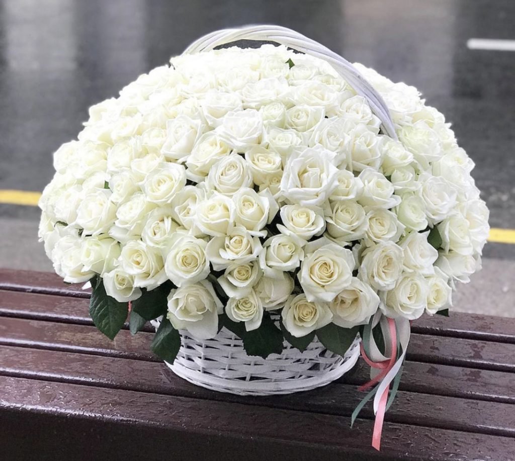 101 Белая роза "Аваланж"