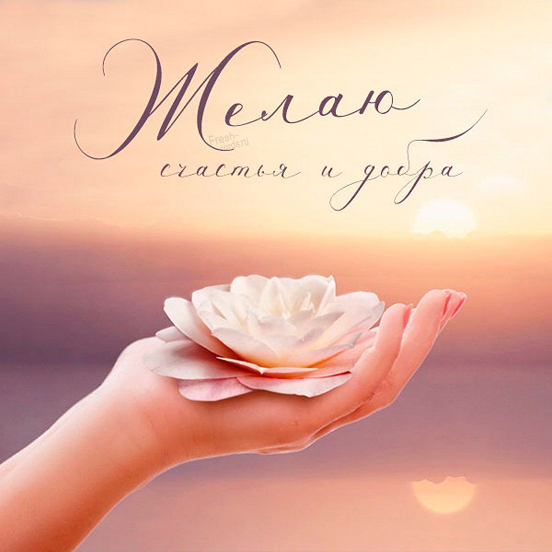 Нежные картинки с надписями