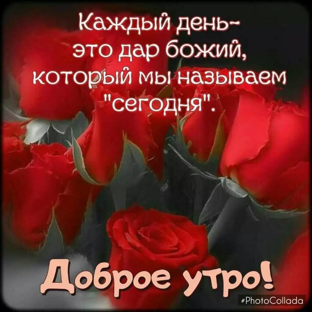 Праздник иконы Божией матери «Утоли моя печали»