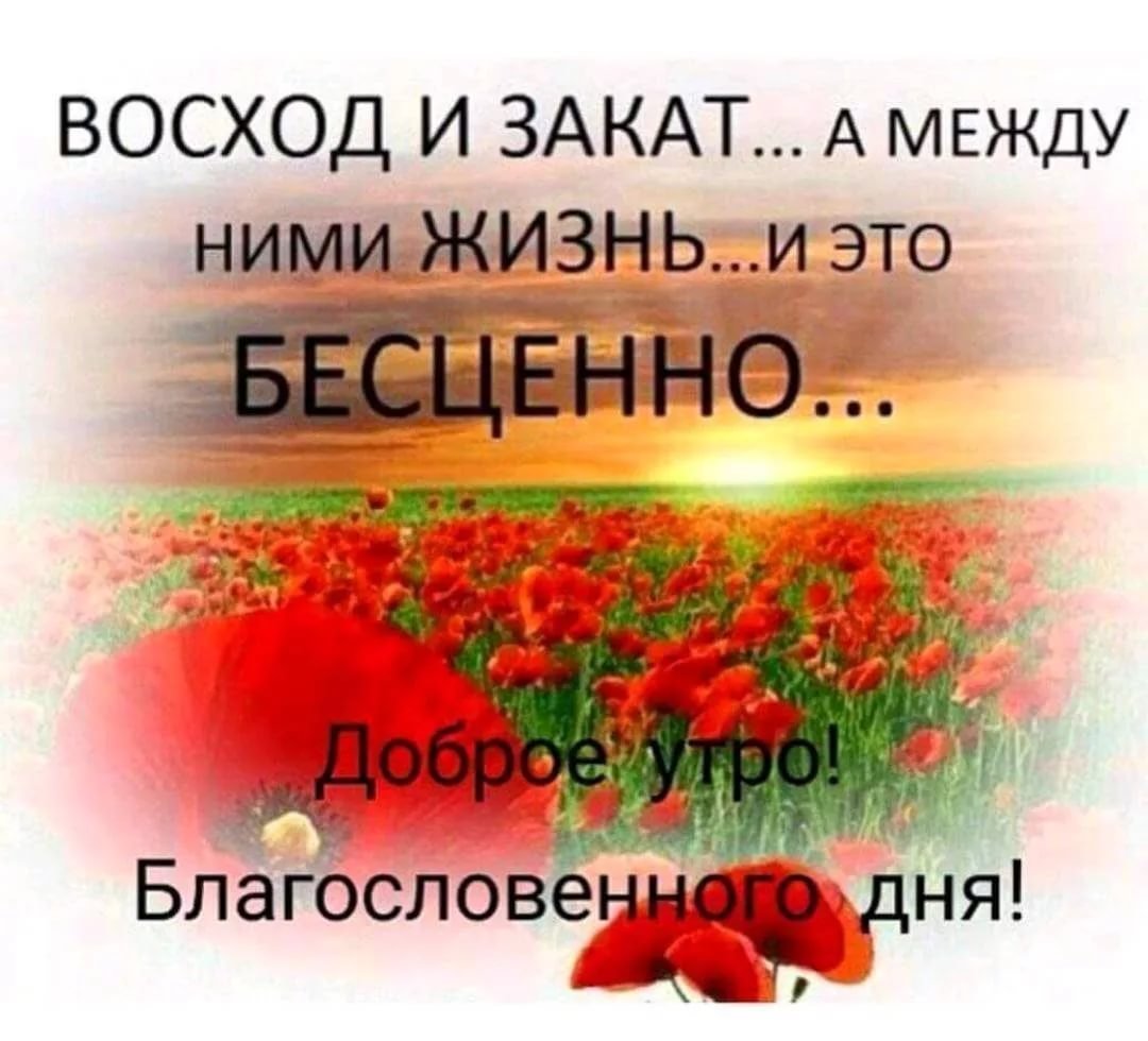 Доброй ночи храни вас Бог