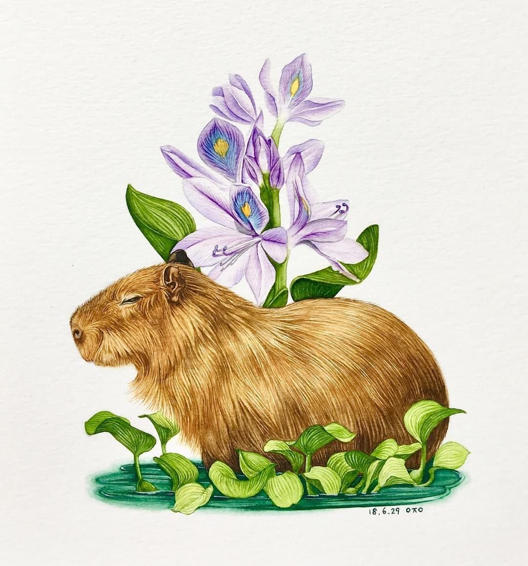 Новогодняя капибара