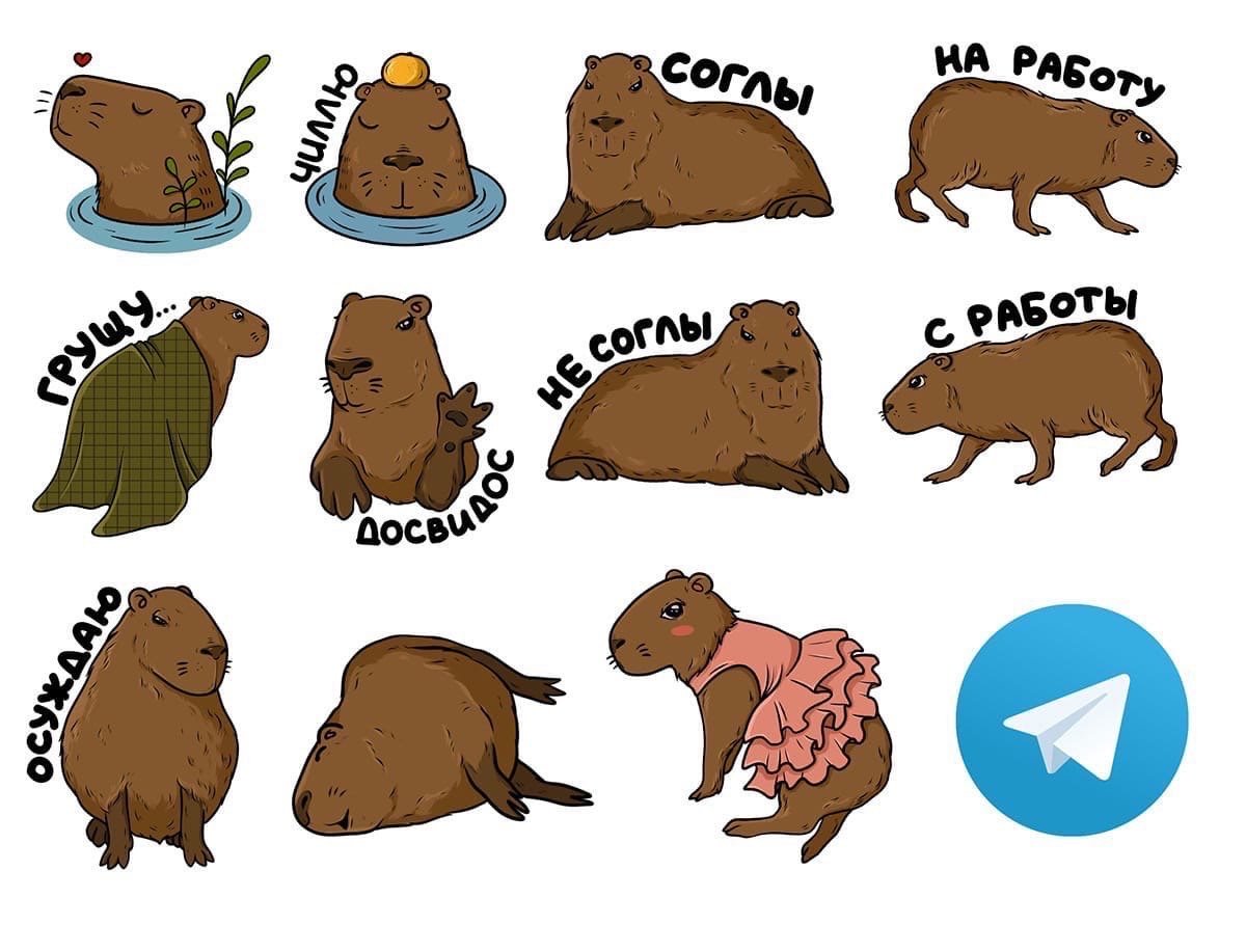 Капибара Мем