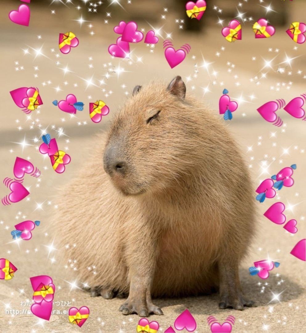 Капибара с косметикой