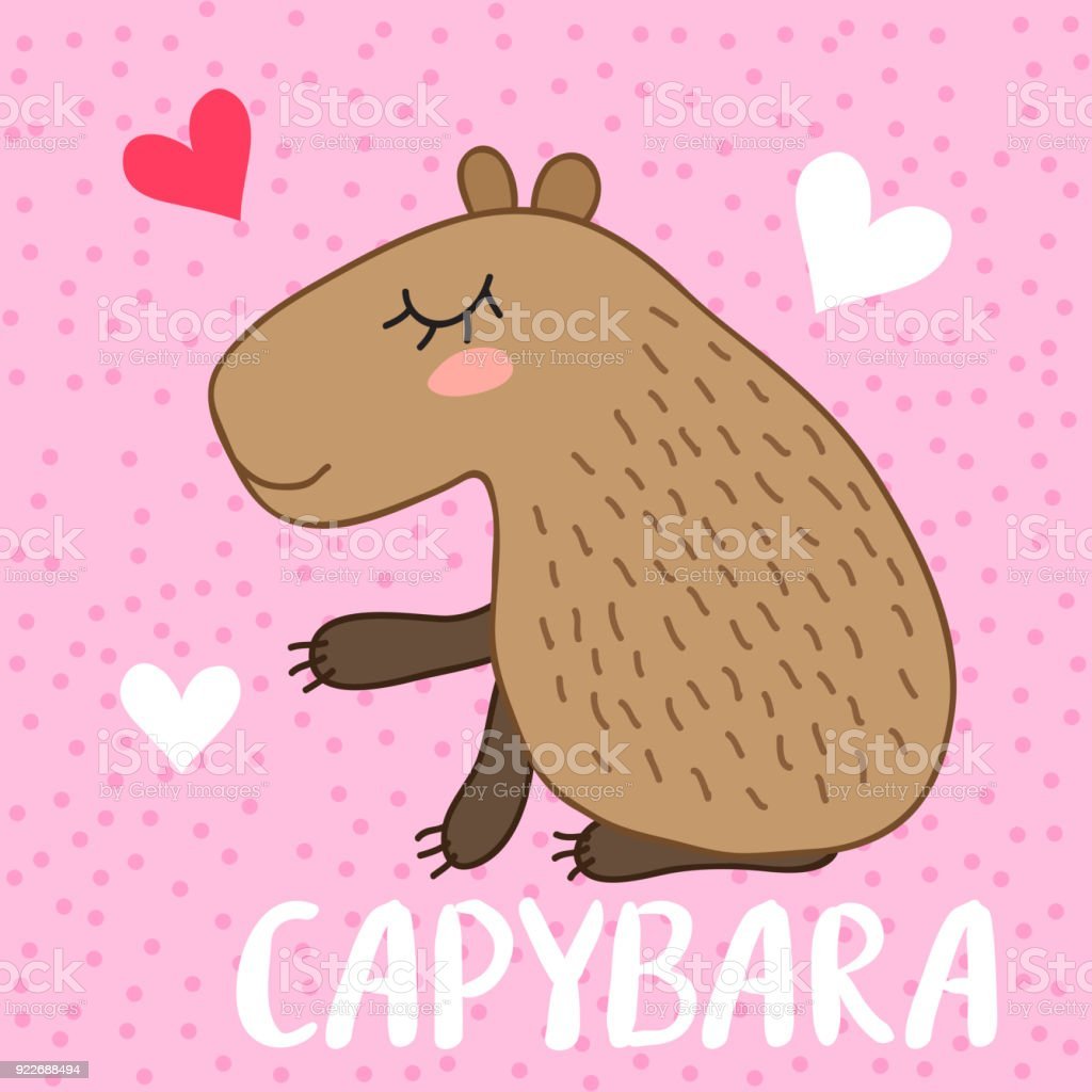 Капибара милая