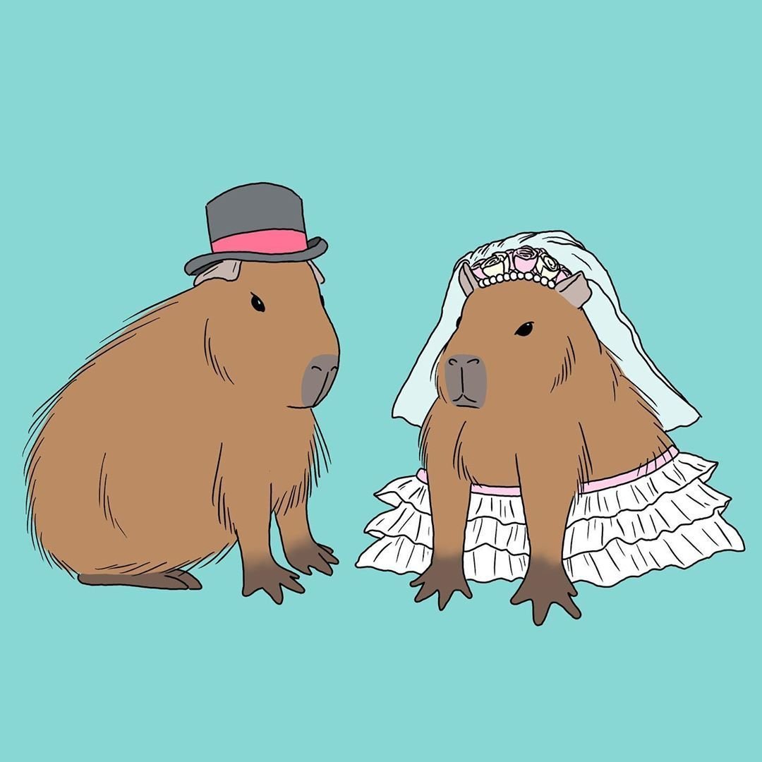 Капибара Санта