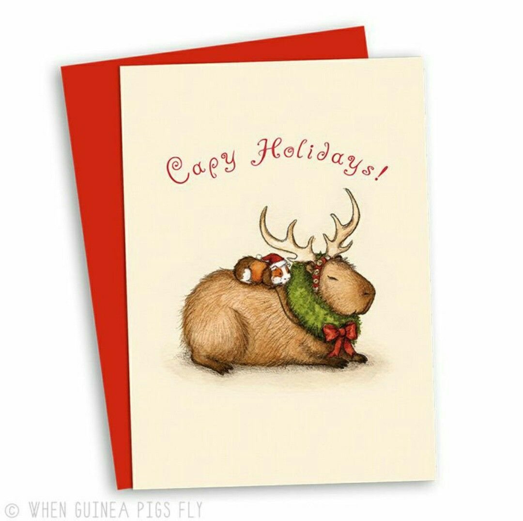 Cute Winter Capybara drawings