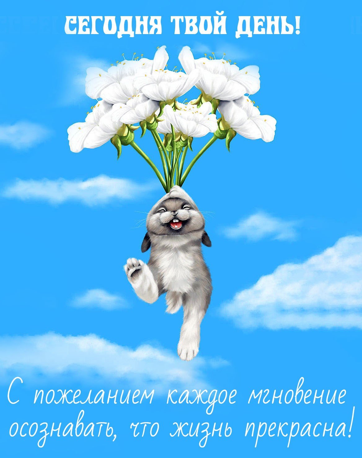 С днем рождения Единорог