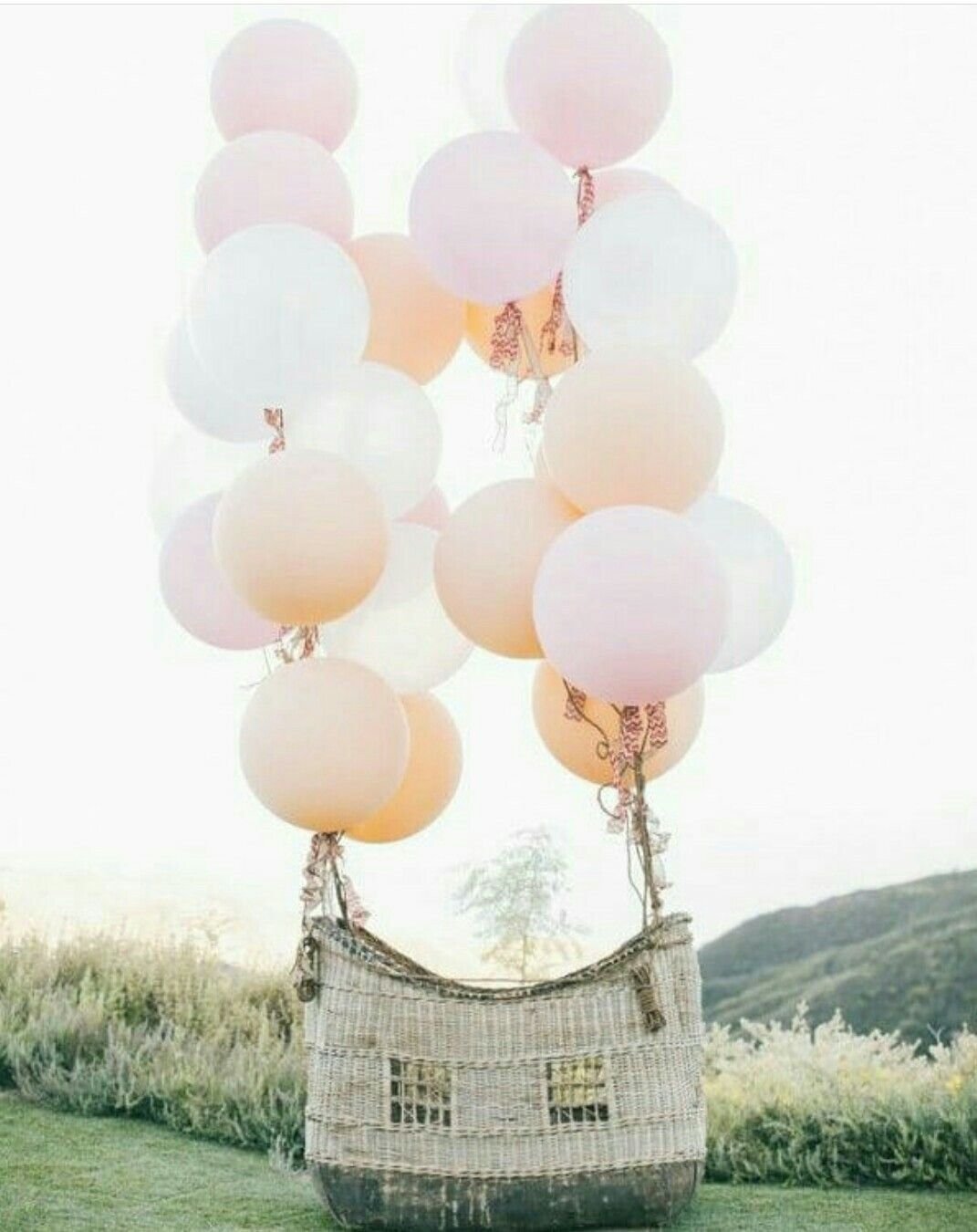 Воздушный шар с корзиной для фотосессии