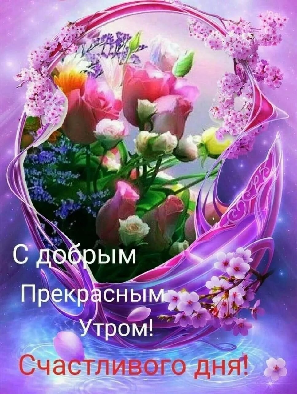 Утренние ромашки