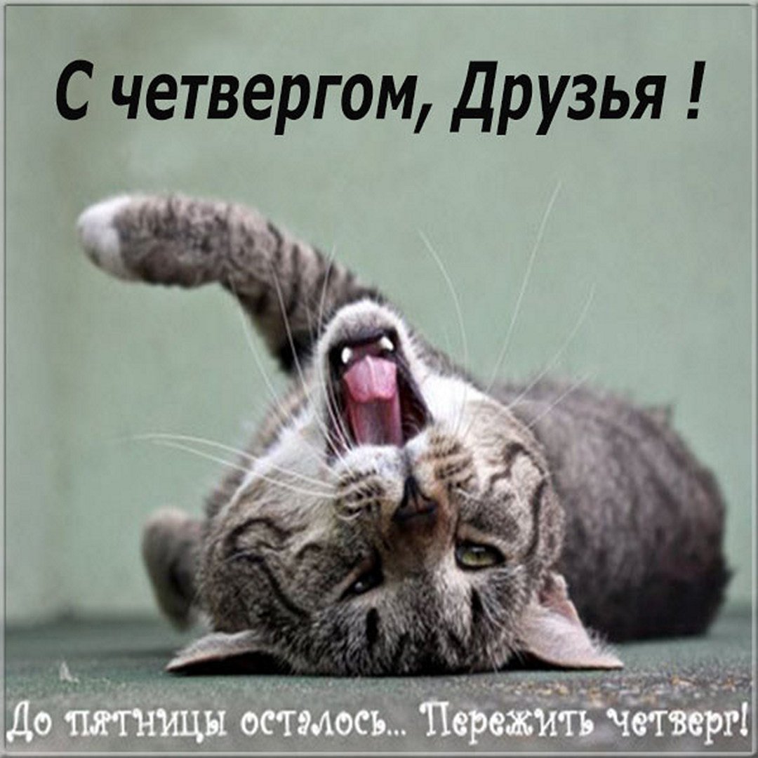 Открытка завтра пятница