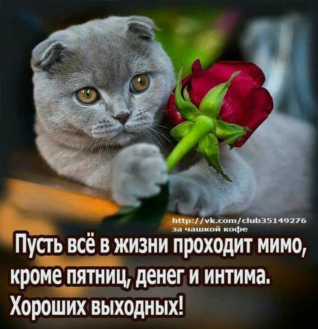 Чистый четверг открытки с поздравлениями