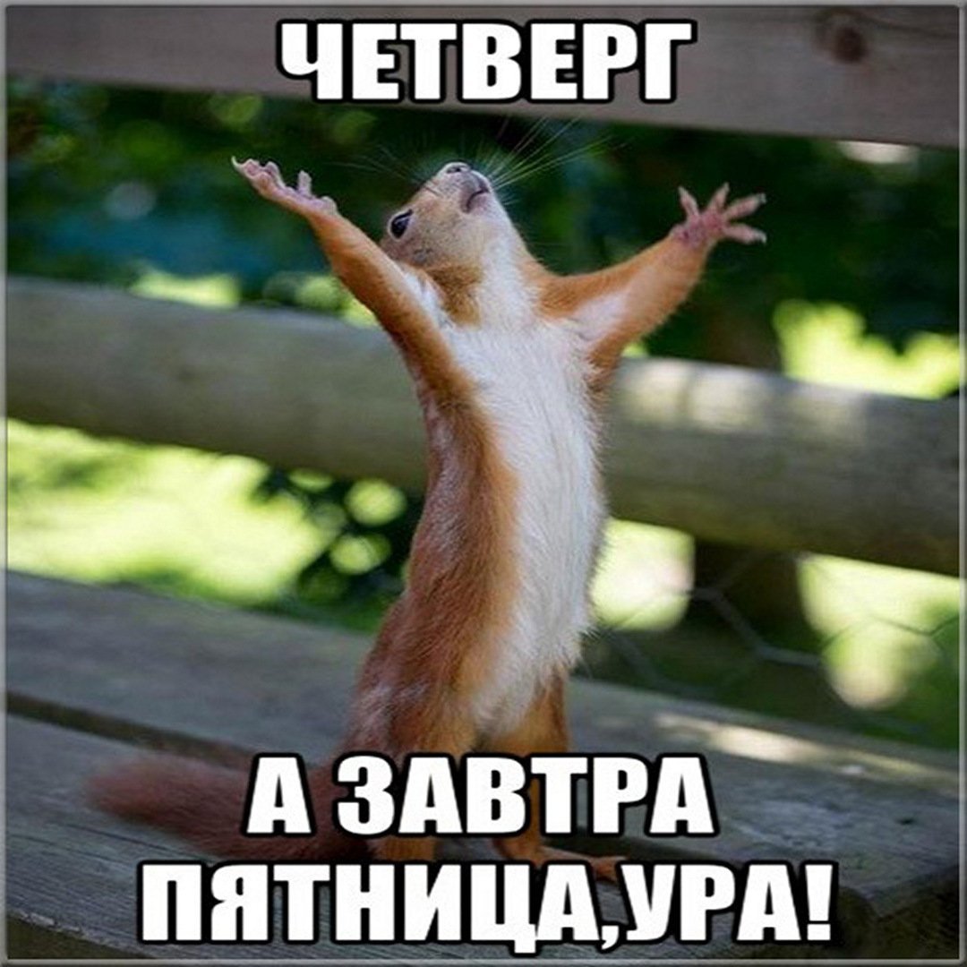 Пожелания хорошего четверга в картинках