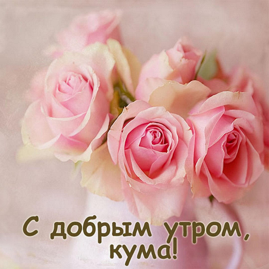 Розовые розы