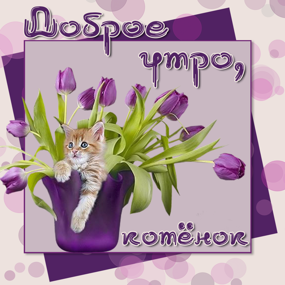 Доброе утро мамулечка