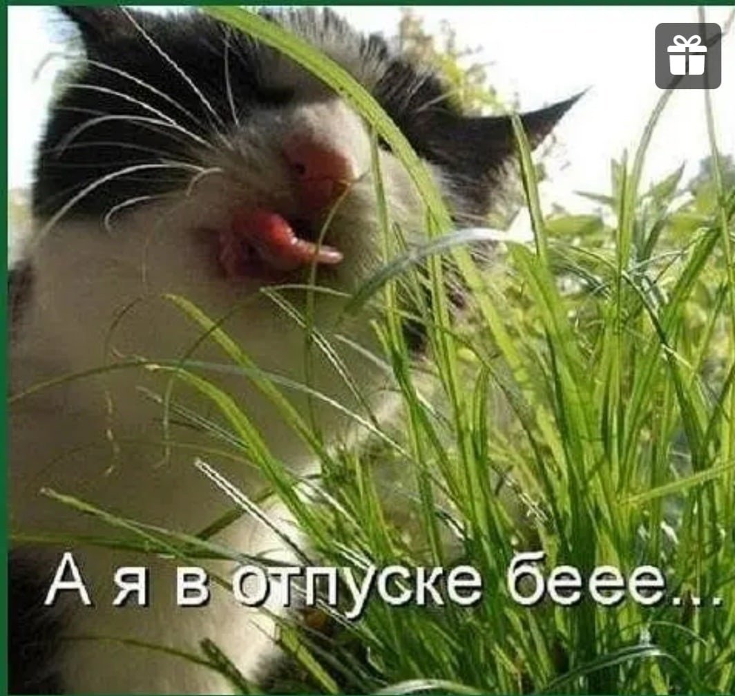 Отпуск открытки прикольные