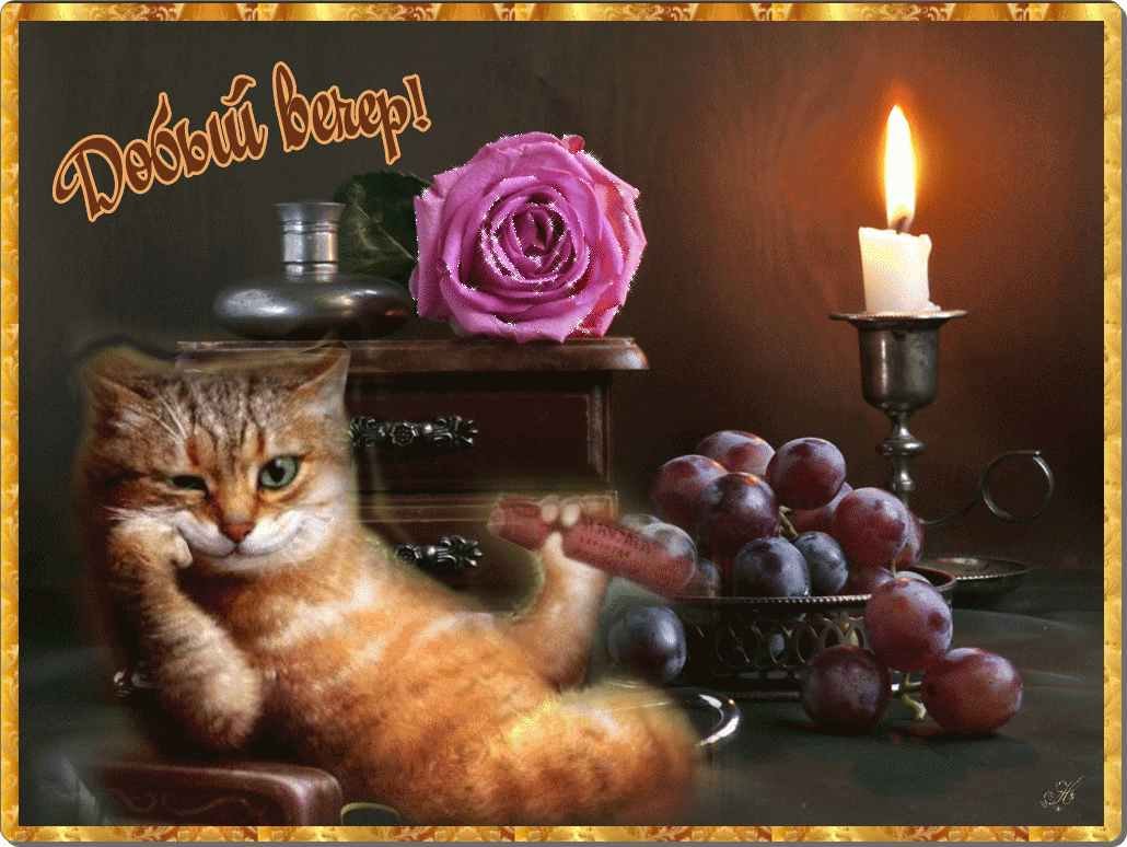 Чудесного вечера с кошками