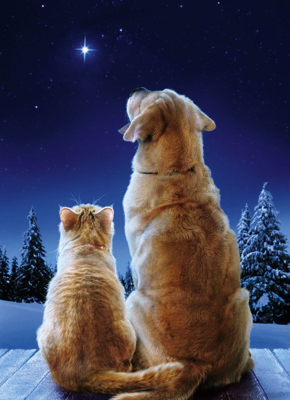 Уютной ночи