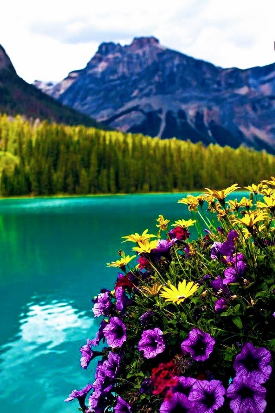 Доломитовые Альпы Швейцарии Шале весной