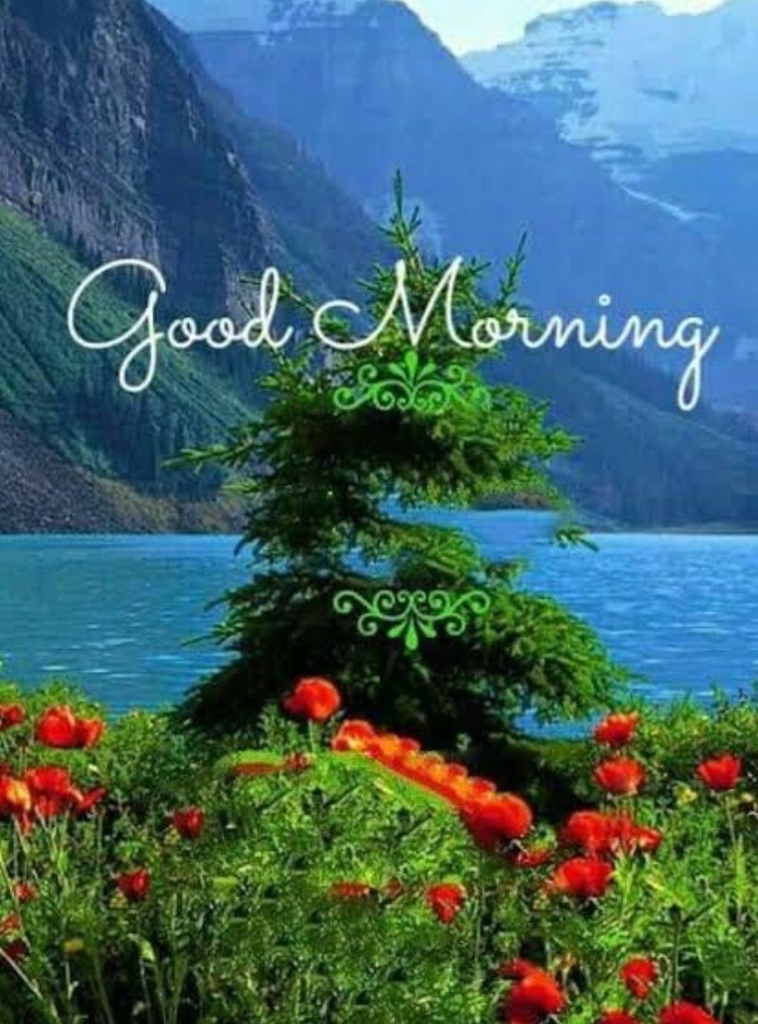 Доброе утро бабушка