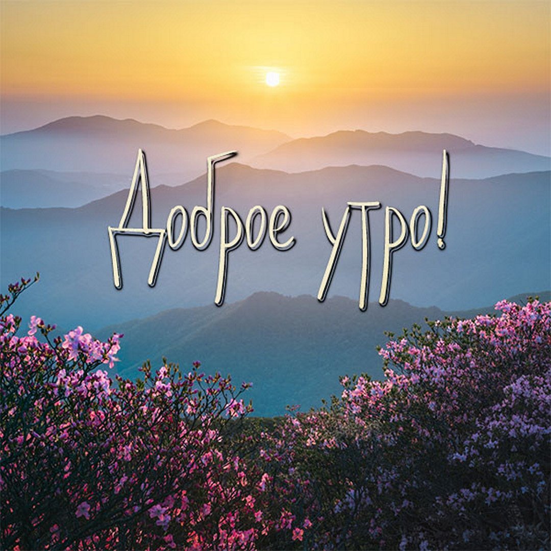 Красивый вид