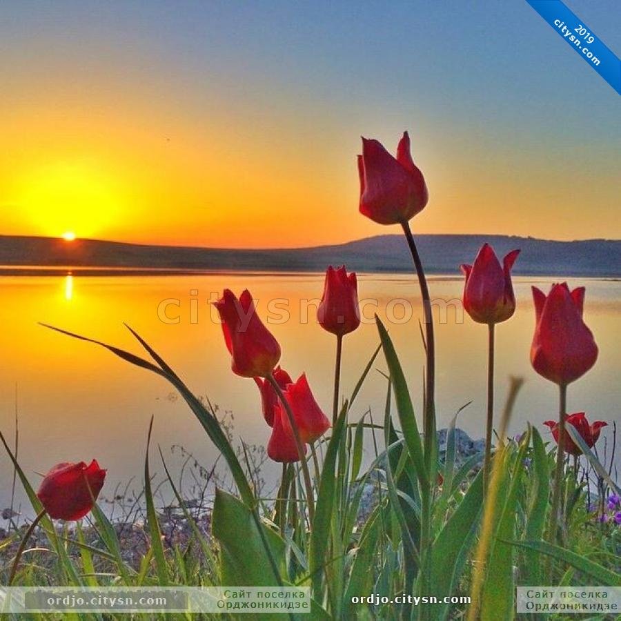 Доброе утро хорошего настроения