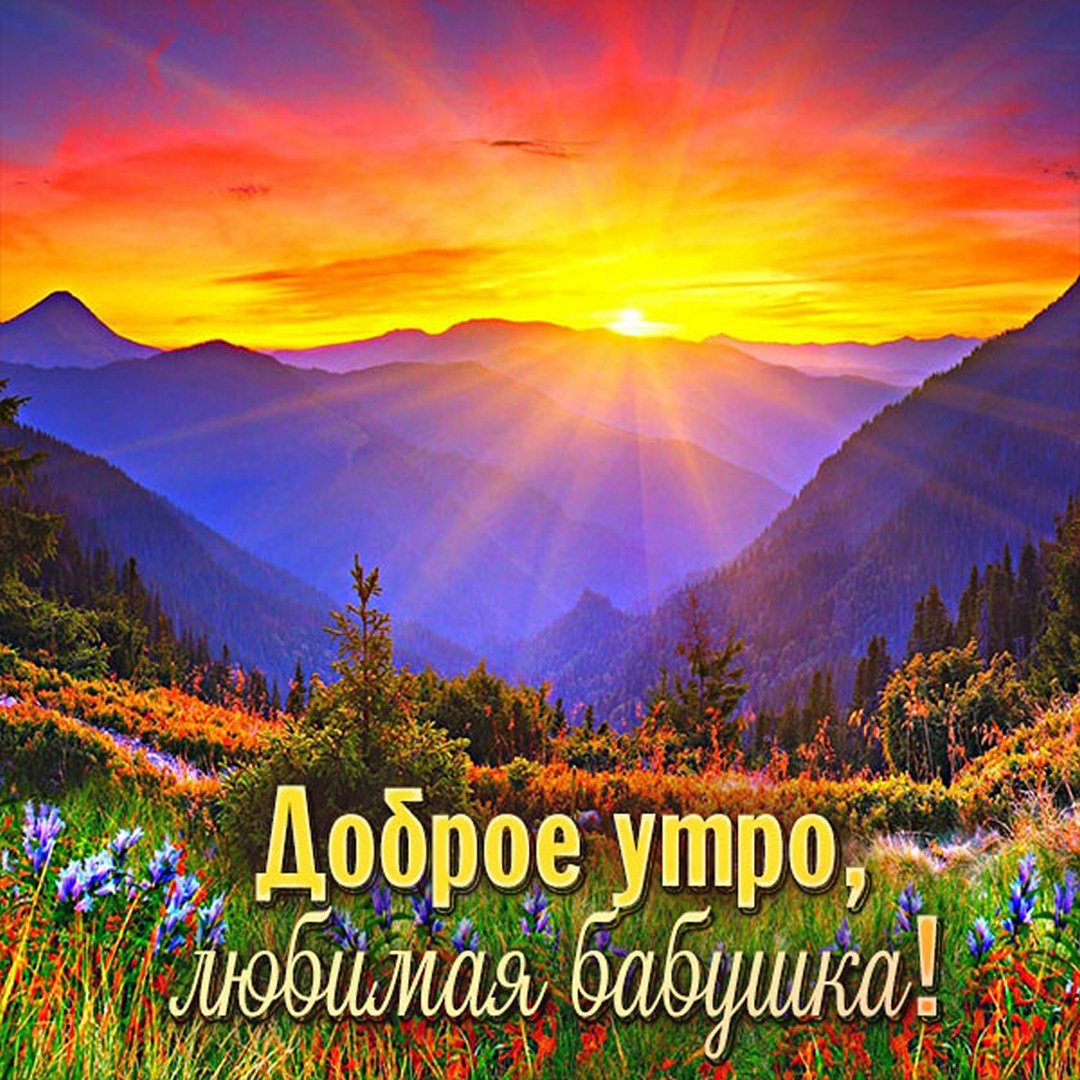 Чашка чая в горах