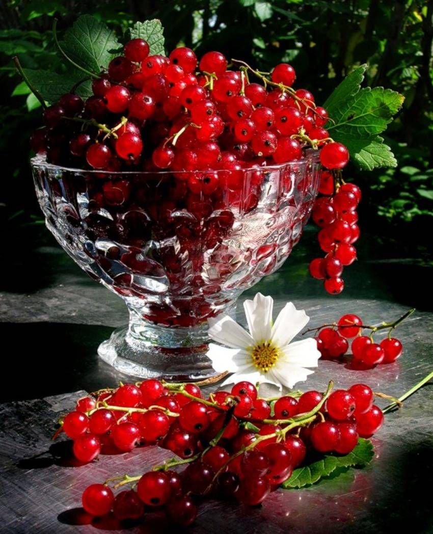 Фрукты и ягоды в вазе