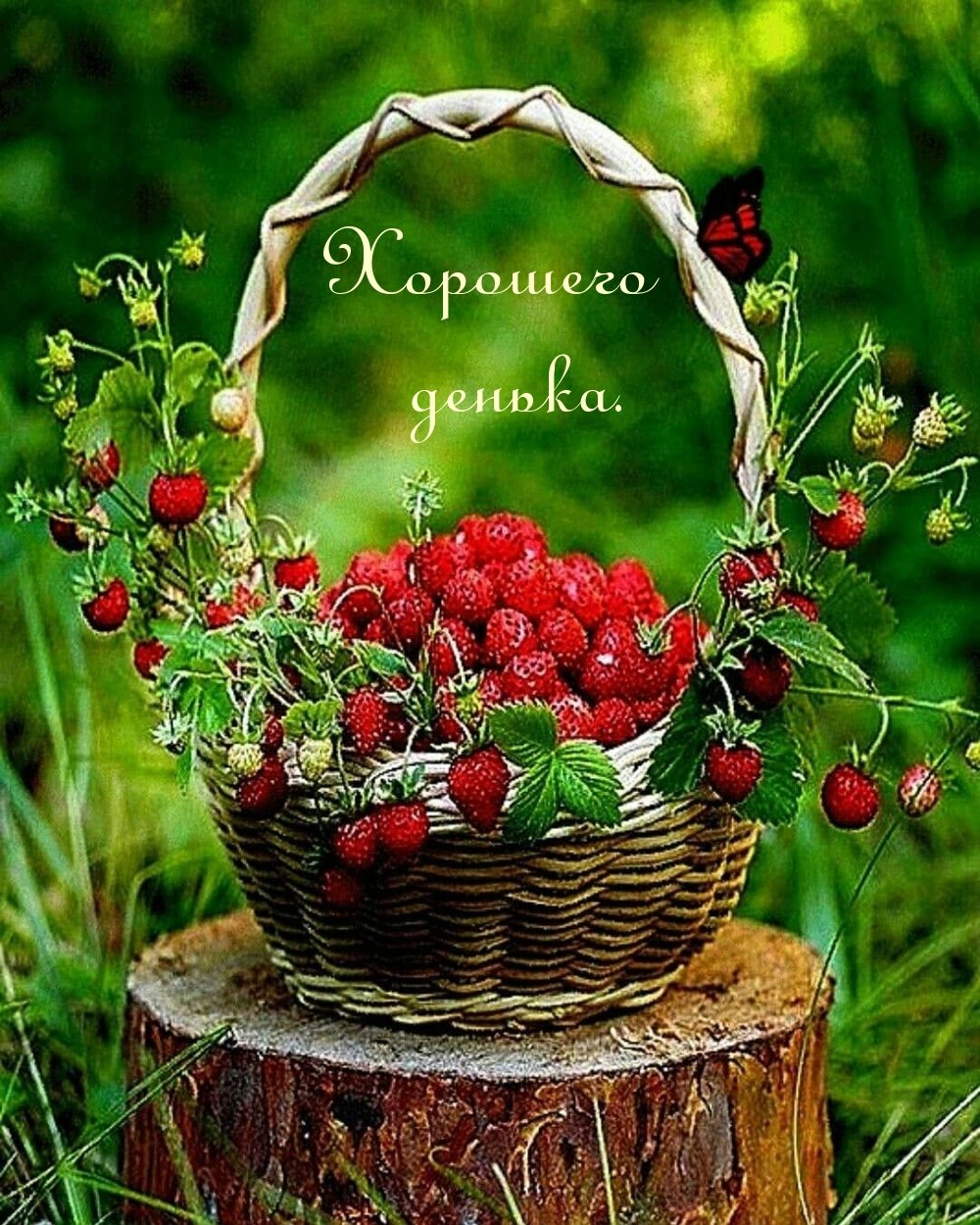 Корзина с ягодами