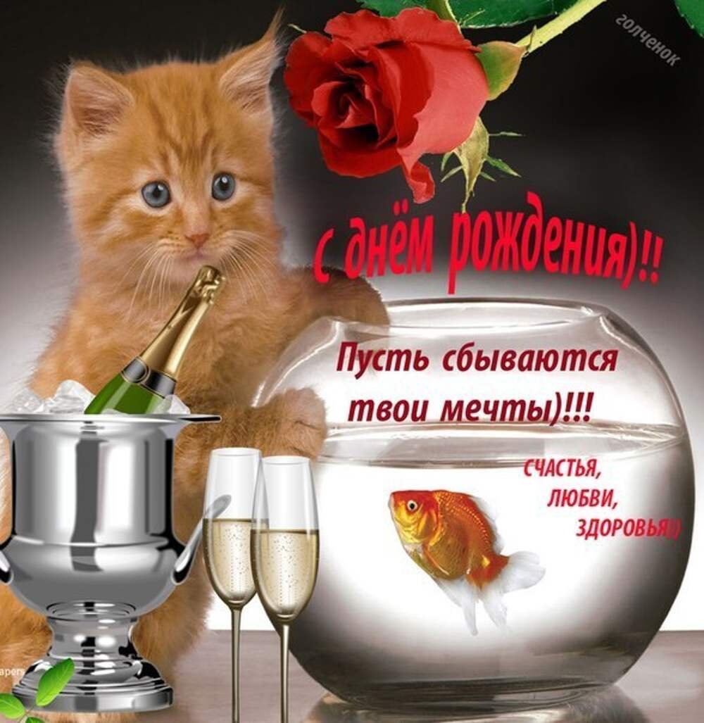 Поздравления с днём Неля