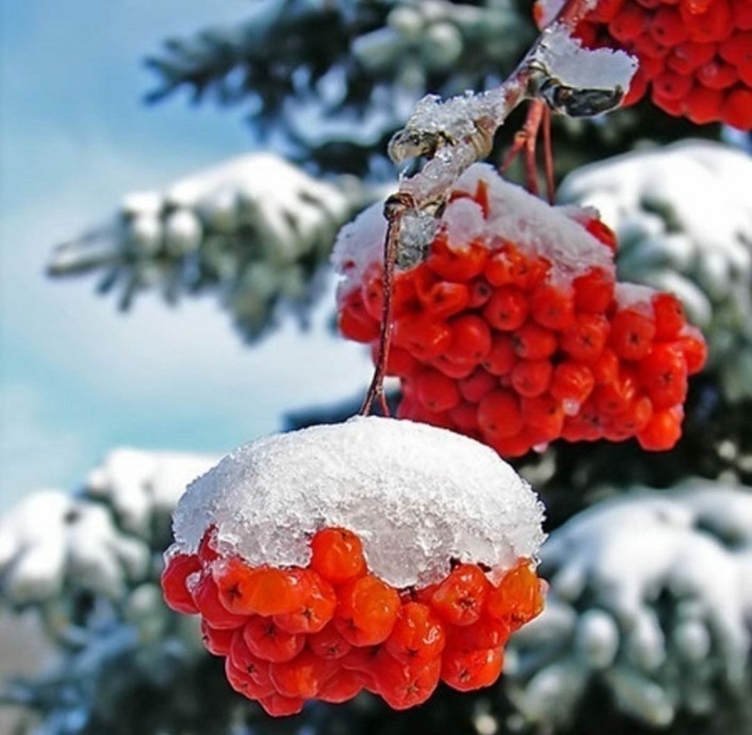 Зимние поздравления с добрым утром