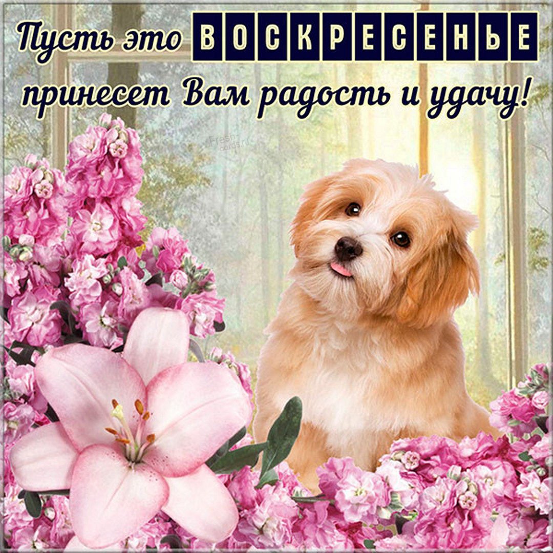 Поздравление с воскресеньем