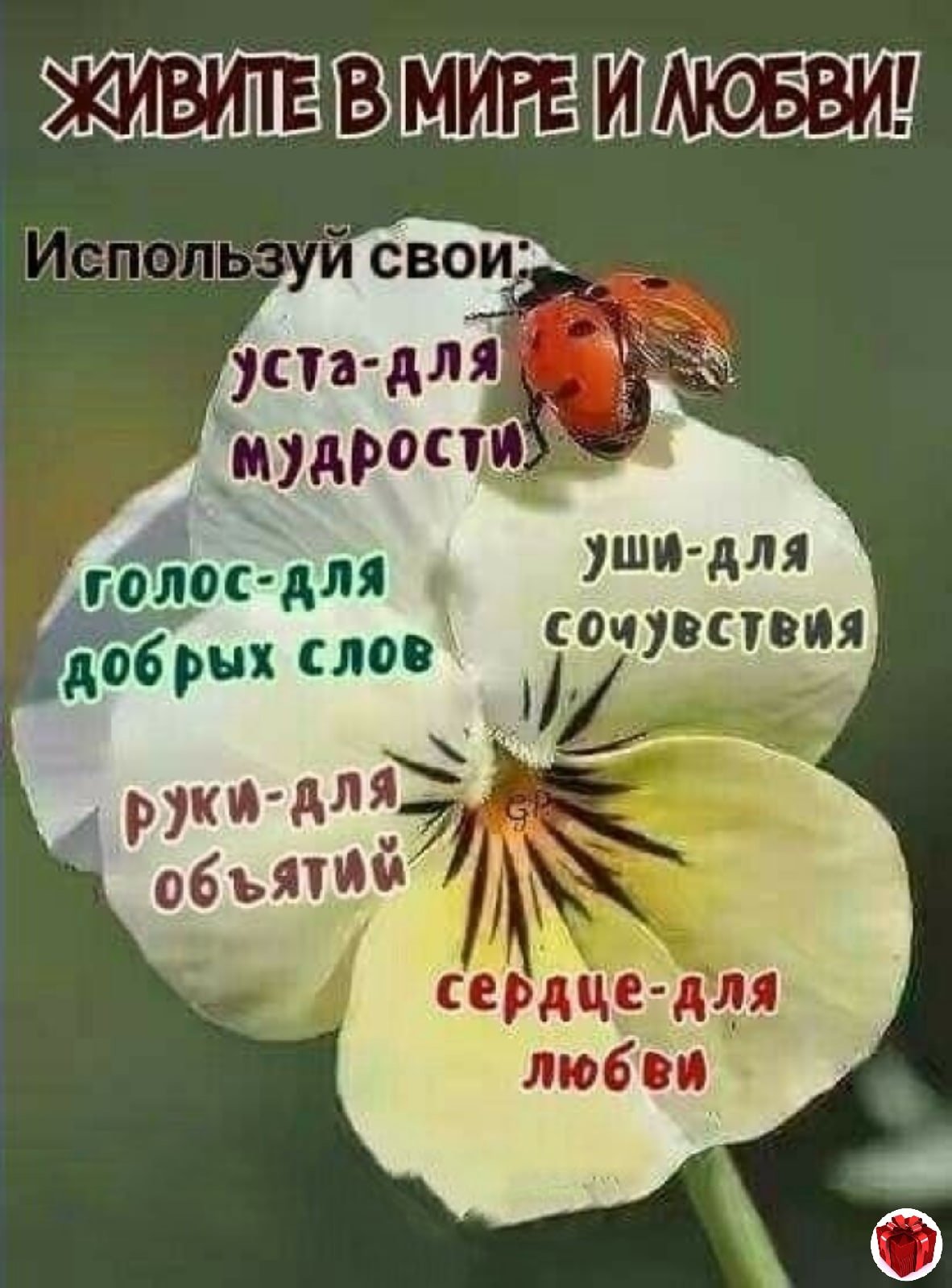 Умные поздравления с добрым утром