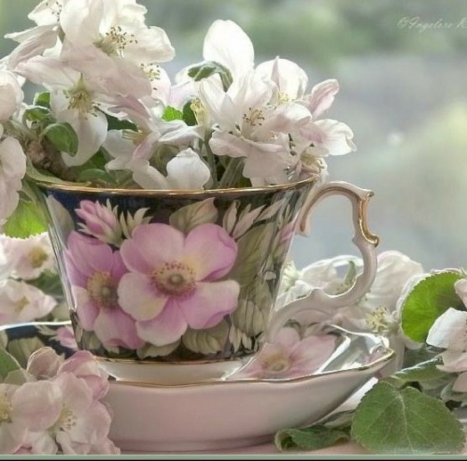 Не прячьте нежность по карманам