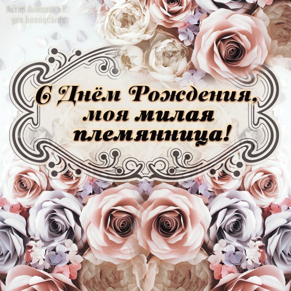 С днем рожденияиплемяннице