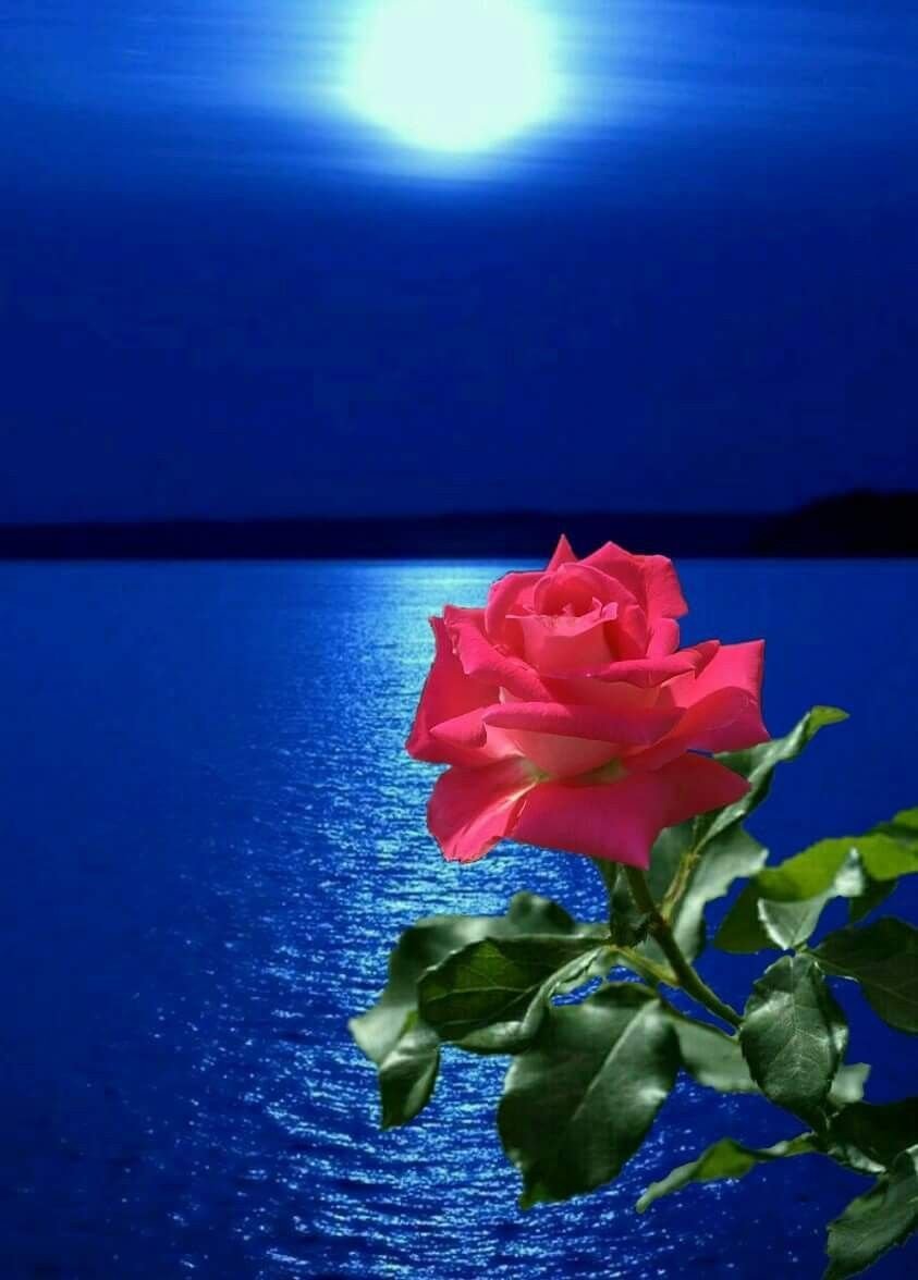 Хорошего спокойного вечера