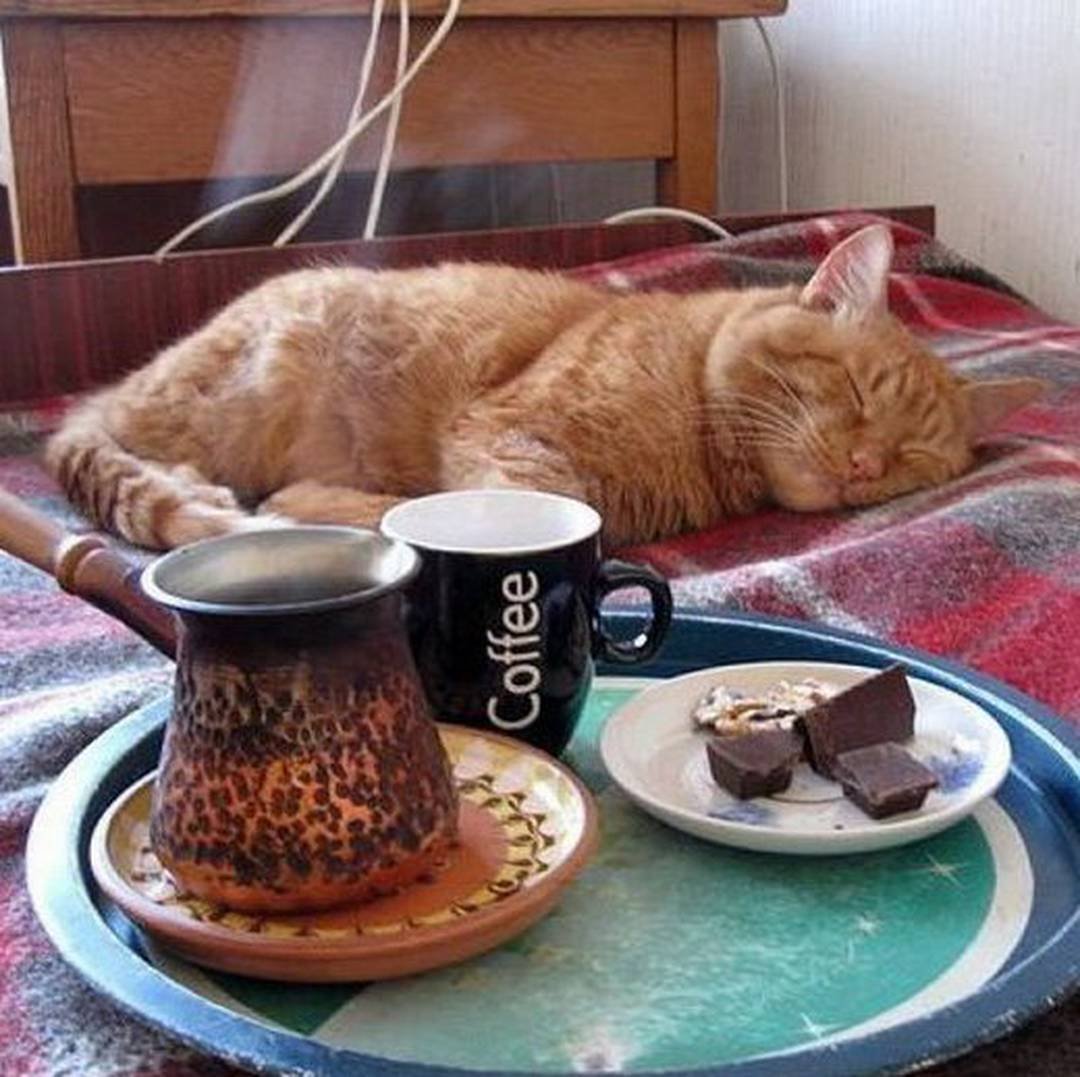 Завтрак в постель смешной