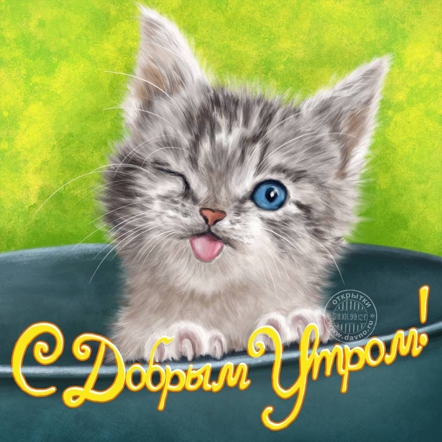 Открытки с добрым утром прикольные