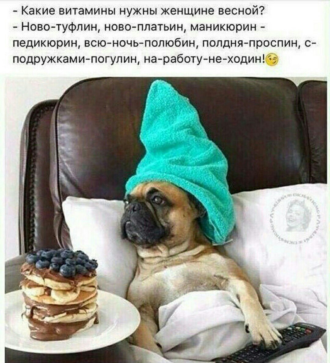 Доброе субботнее утро прикол