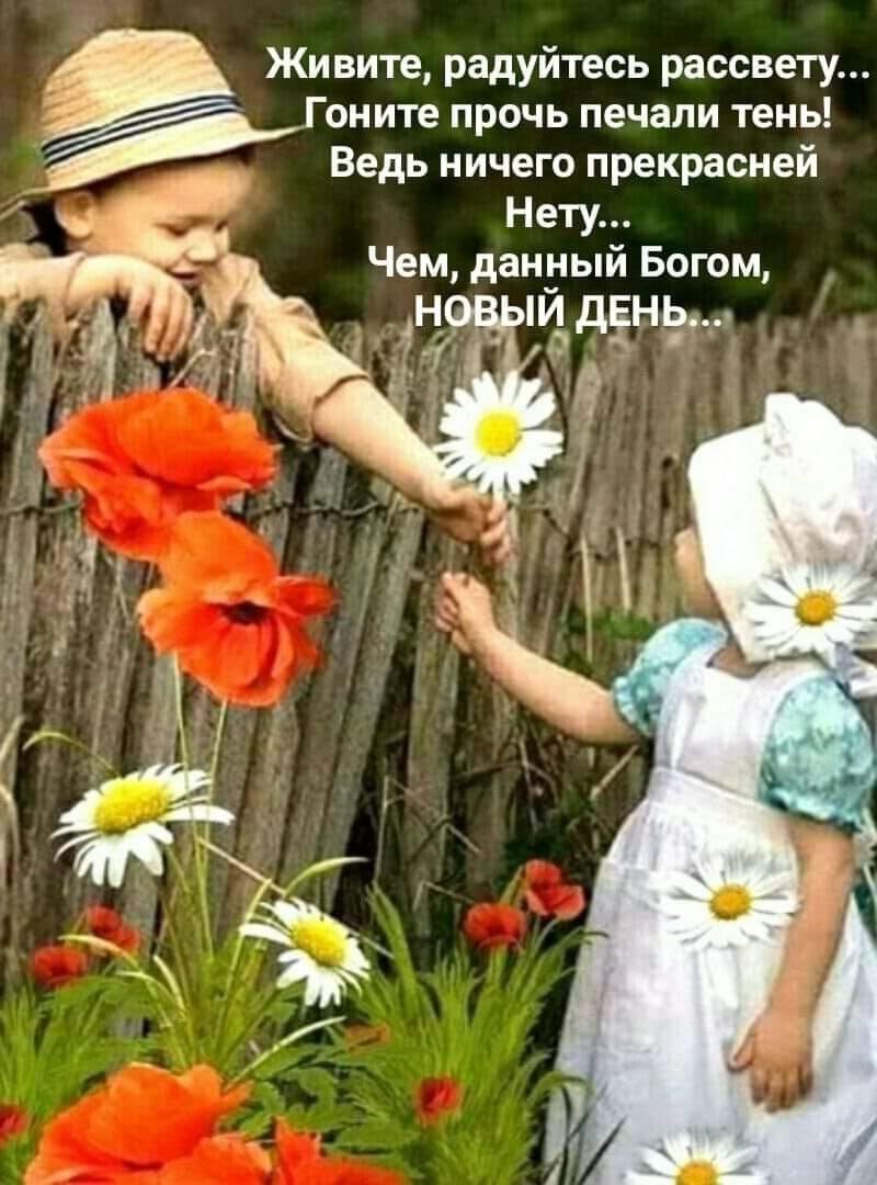 Радость новому Дню